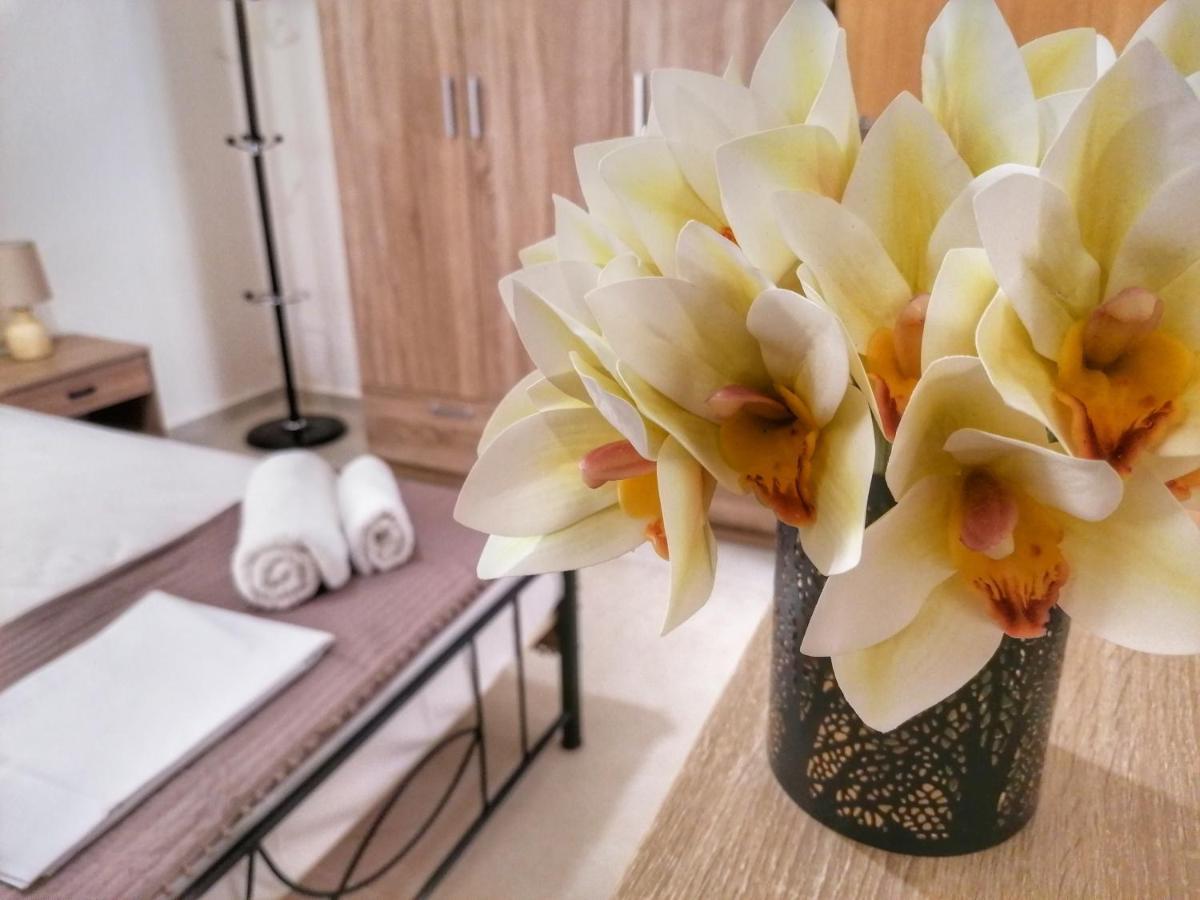 Alex Apartment, Cozy Place In Center Apartment Heraklion (Crete)